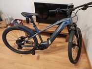 Conway carion s 2.0 Ebike - Waldshut-Tiengen
