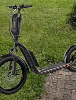 Elektro Roller mit Straßenzulassung - Bad Sooden-Allendorf
