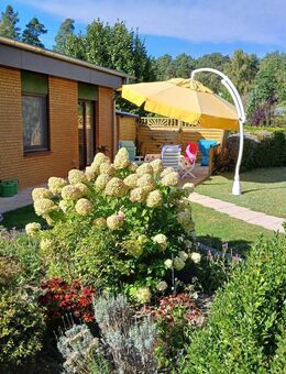 Barrierefreier Bungalow in gepflegter Gartenanlage - Zernien