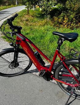 Trekking Fahrrad Cocuma - Warstein