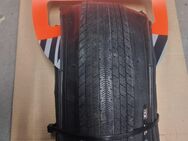 NEU Maxxis Torch 20x1.95 / 47-406 Exo Faltreifen - Frankfurt (Main)