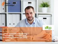 Leiter Finanzbuchhaltung / Controlling / Finanz- und Rechnungswesen (m/w/d) - Bürstadt