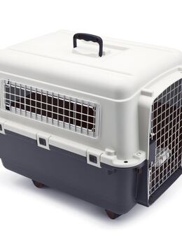 Savic Transportbox Feria Andes mit Rollen - Größe 5: M, anthrazit/beige
