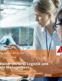 Abteilungsleiter (m/w/d) Logistik und Supply Chain Management - Dunningen