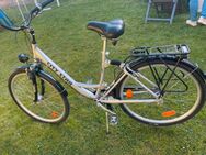 City Fahrrad 28 Zoll 7 Gänge - Herten