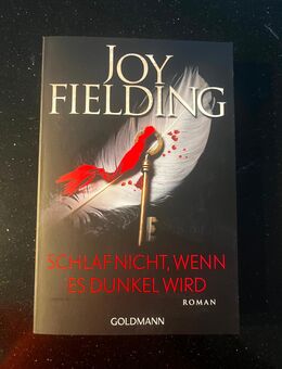 Joy Fielding / Schlaf nicht wenn es dunkel wird - Düsseldorf
