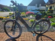 Victoria eTrekking 11.4 H (2019) Rohloff Nabe - Oberhausen
