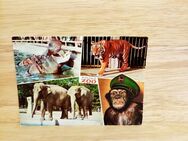 Ansichtskarte-Ak-283-Köln am Rhein. Zoologischer Garten. - Nörvenich