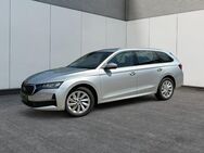 Skoda Octavia, Combi Selection, Jahr 2024 - Buchholz (Nordheide)