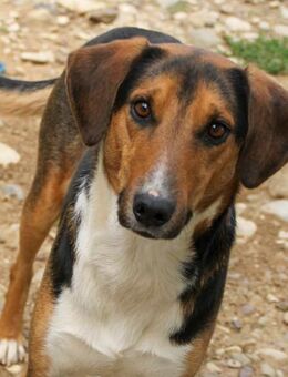 Zlaja möchte die Welt entdecken - Schwabach