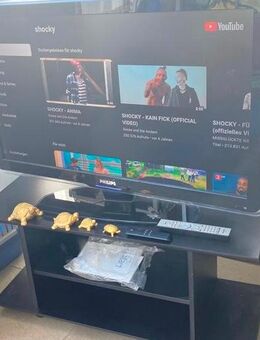 PhilipsTv+dvd Player +Amazon Stick /ambilight +Tisch +Zubehör etc - Aalen