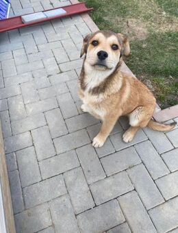 💙 𝐌𝐢𝐥𝐨 - Markkleeberg