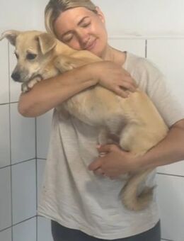 🐶Verspielter junger Garth🐶 - Eislingen (Fils)
