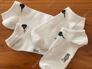 Gebrauchte Socken 🧦🔥 - Ispringen