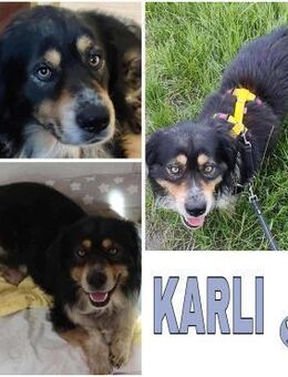 KARLI -menschenbezogene Frohnatur- - Duisburg