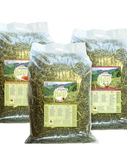 Bunny FrischGras Heu Special Edition - Winterpaket 3 x 2 kg