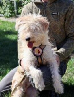 Freddie ist bereit für deine Abenteuer - München