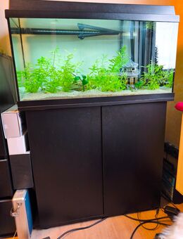 Aquarium (Juwel) mit Unterschrank zu verkaufen - Altenkirchen (Westerwald) Zentrum