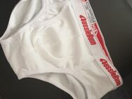 Geile getragene Unterwäsche (Slips und Unterhöschen) von 21-jährigen Jungen zum Verkauf! - Werl Zentrum