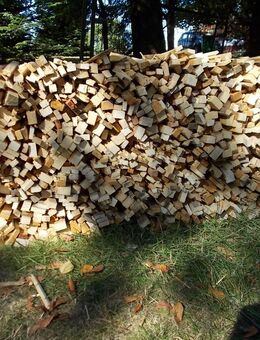 Kamin-Anzündholz, trocken, zum direkten Gebrauch, 100 dm³ = 35 € - Gummersbach
