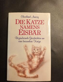 Die Katze namens Eisbär Amory, Cleveland: - Essen