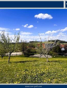 Ihr Naturrefugium mit Pferdeflair - Reiterhof nahe Lindau - Wangen (Allgäu)