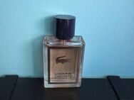 Lacoste homme 50 ml - Köln