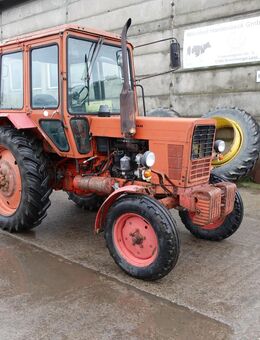 Belarus MTS 570, Bj.90, 2251 Std. Traktor, Trecker - Boitzenburger Land