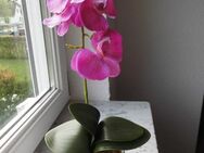 Orchidee künstlich Kunstpflanze im Keramik-Blumentopf Blätter +Luftwurzeln Deko Phalaenopsis 3,- - Flensburg
