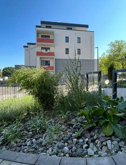 Barrierefreie 1-Raum-Wohnung mit Einbauküche, Dusche und Balkon - Gera