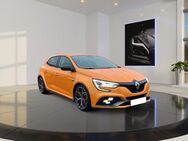 Renault Megane Recaro+R.S. Monitor+19 Zoll Megane R.S... - Selent