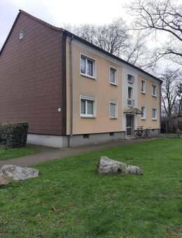 Bringen Sie Ihr Herz mit, es wird sich wohlfühlen! - Marl (Nordrhein-Westfalen)
