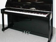 Klavier Ritmüller Classic 110, schwarz poliert, Baujahr 2023, 5 Jahre Garantie - Egestorf