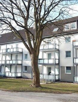 tolle 2-Zimmer-Wohnung im EG eines modernisierten Hauses - Bochum