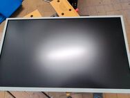 32" Monitor/TV Bildschirm Samsung und NEC Display ohne Fuß - Nümbrecht