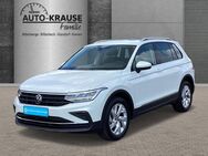 VW Tiguan, 1.5 TSI Active Parklenka, Jahr 2023 - Billerbeck