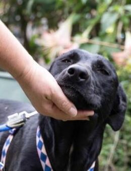 Schlauer Fritzi - Hückelhoven