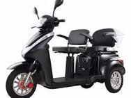 Elektromobil-Zweisitzer-1000W - Ratingen
