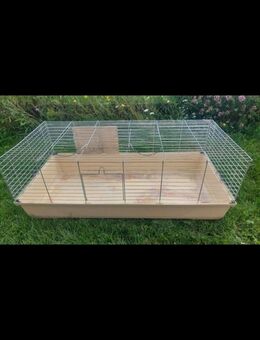 Kaninchen mit Stall dringend abzugeben - Marktoberdorf