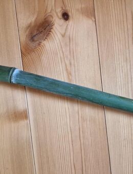 Phyllostachys Aurea Bambus Rohr nach Maß - Berlin Marzahn-Hellersdorf