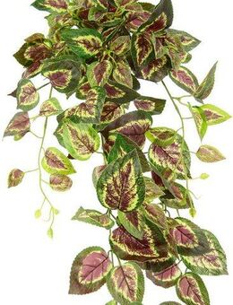 Kunstpflanze Buntnessel, I.GE.A., Höhe 80 cm, Kletterpflanze