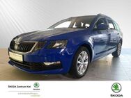 Skoda Octavia 1.5 TSI ACT Tour (EURO 6d-TEMP) Klima - Kiel