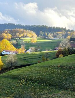 Großzügiges Zwei-/Dreifamilienhaus mit großer Doppelgarage in äußerst bevorzugter Panoramawohnlage - Bühlertal