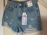 7 NEUE Shorts für Damen / - Hilter (Teutoburger Wald)