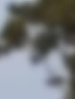 Von*** - Möckern Pabsdorf