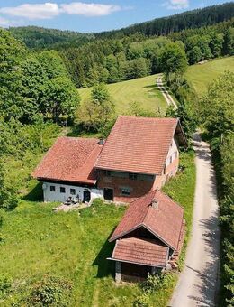 Ehemalige Hofstelle in Alleinlage Hier würde ein König sein Schloss bauen - Neukirchen (Bayern)
