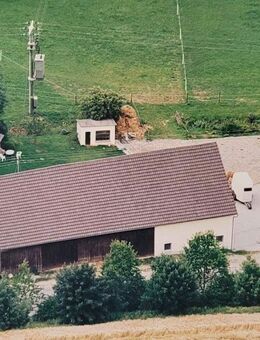 Liebhaberobjekt für Pferdehaltung - Biberbach