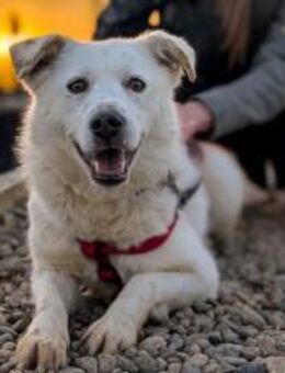 Kann dich unsere süße LANI verzaubern? - München