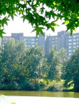 3-Zimmer-Wohnung mit Fernblick in Darmstadt-Kranichstein sucht neue Mieter - Darmstadt