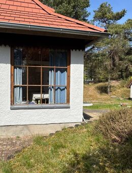 Insel Hiddensee - Haus in der Heide - komplett saniert ! - Insel Hiddensee